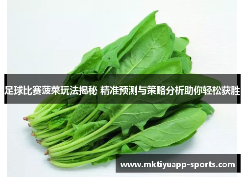 足球比赛菠菜玩法揭秘 精准预测与策略分析助你轻松获胜