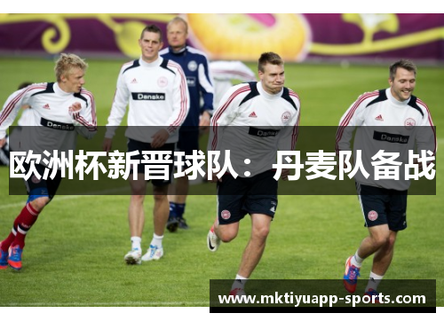 欧洲杯新晋球队：丹麦队备战