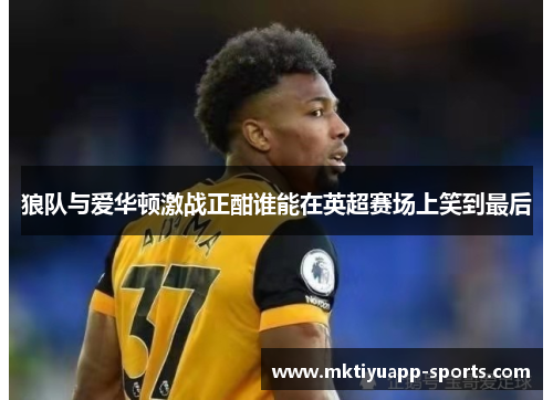 狼队与爱华顿激战正酣谁能在英超赛场上笑到最后